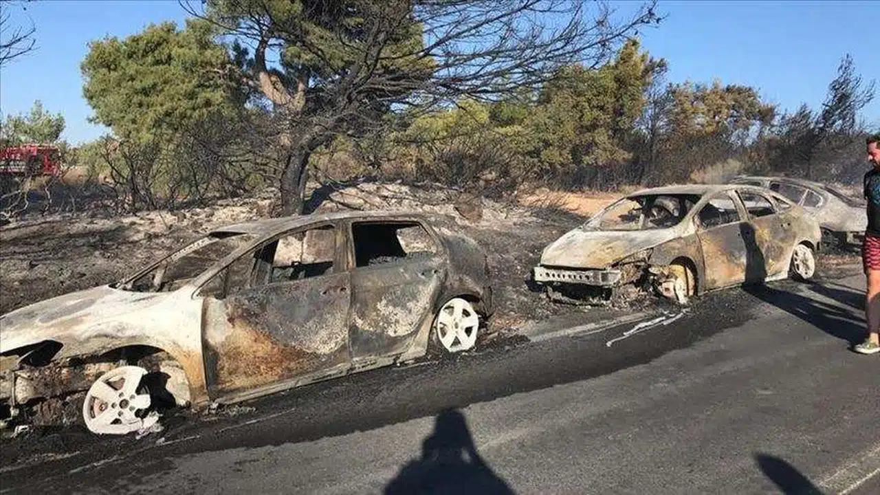 Seferihisar'da yaklaşık 50 araç yandı