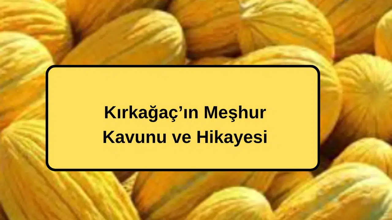 Kırkağaç’ın Meşhur Kavunu ve Hikayesi
