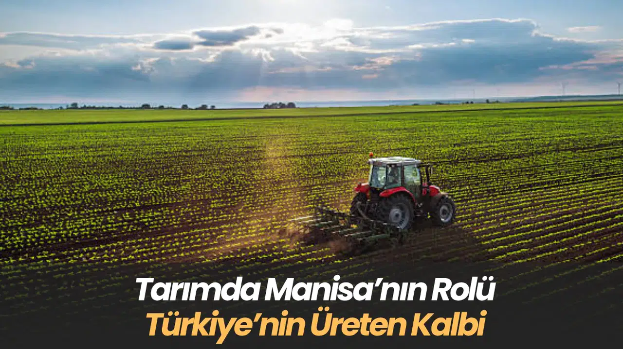 Tarımda Manisa’nın Rolü  Türkiye’nin Üreten Kalbi