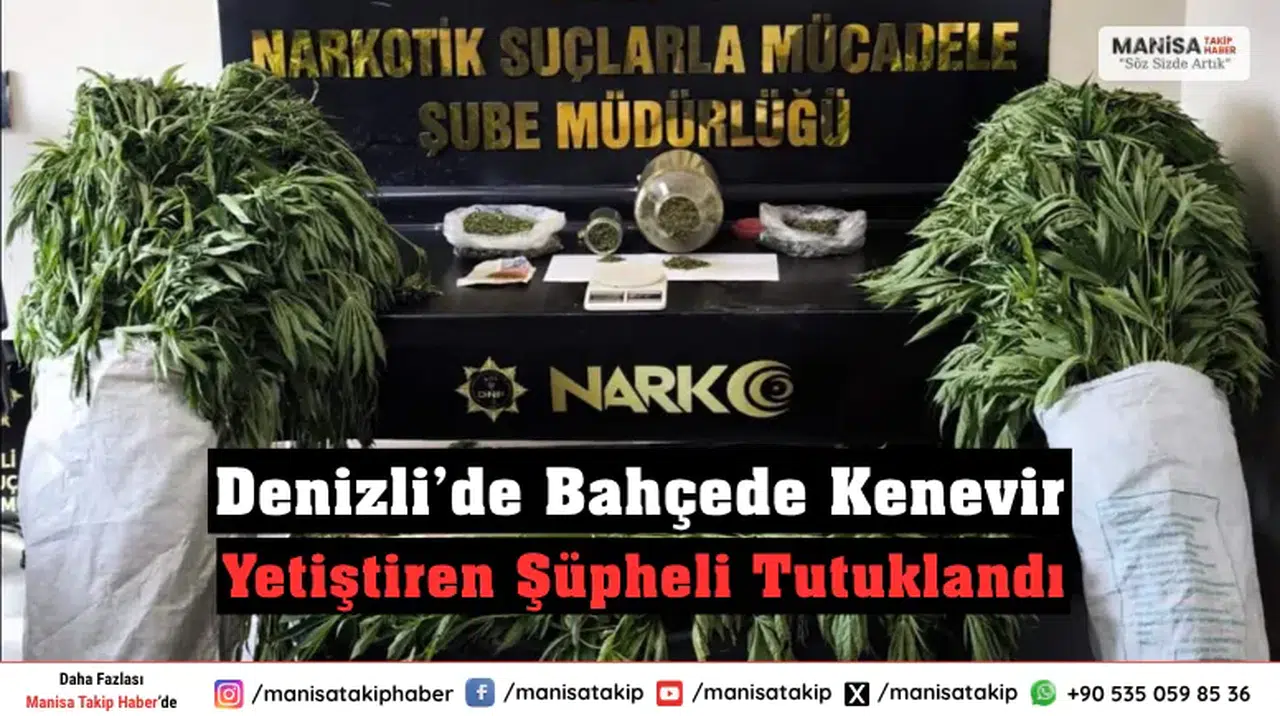 Denizli’de Bahçede Kenevir Yetiştiren Şüpheli Tutuklandı