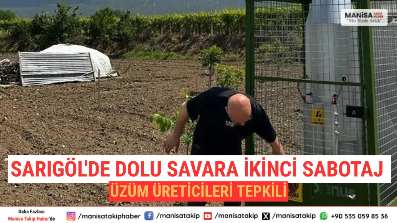 Sarıgöl'de Dolu Savara İkinci Sabotaj: Üzüm Üreticileri Tepkili