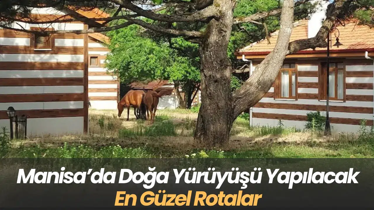 Manisa’da Doğa Yürüyüşü Yapılacak En Güzel Rotalar