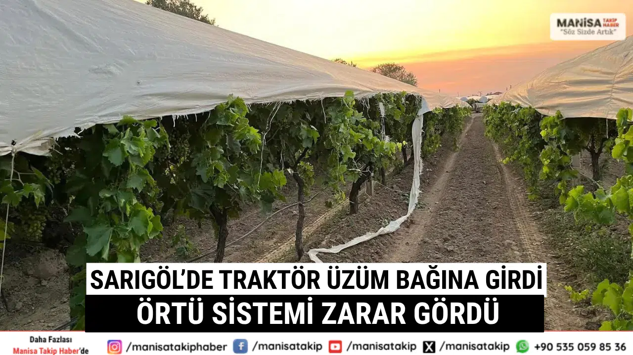 Sarıgöl’de Traktör Üzüm Bağına Girdi Örtü Sistemi Zarar Gördü