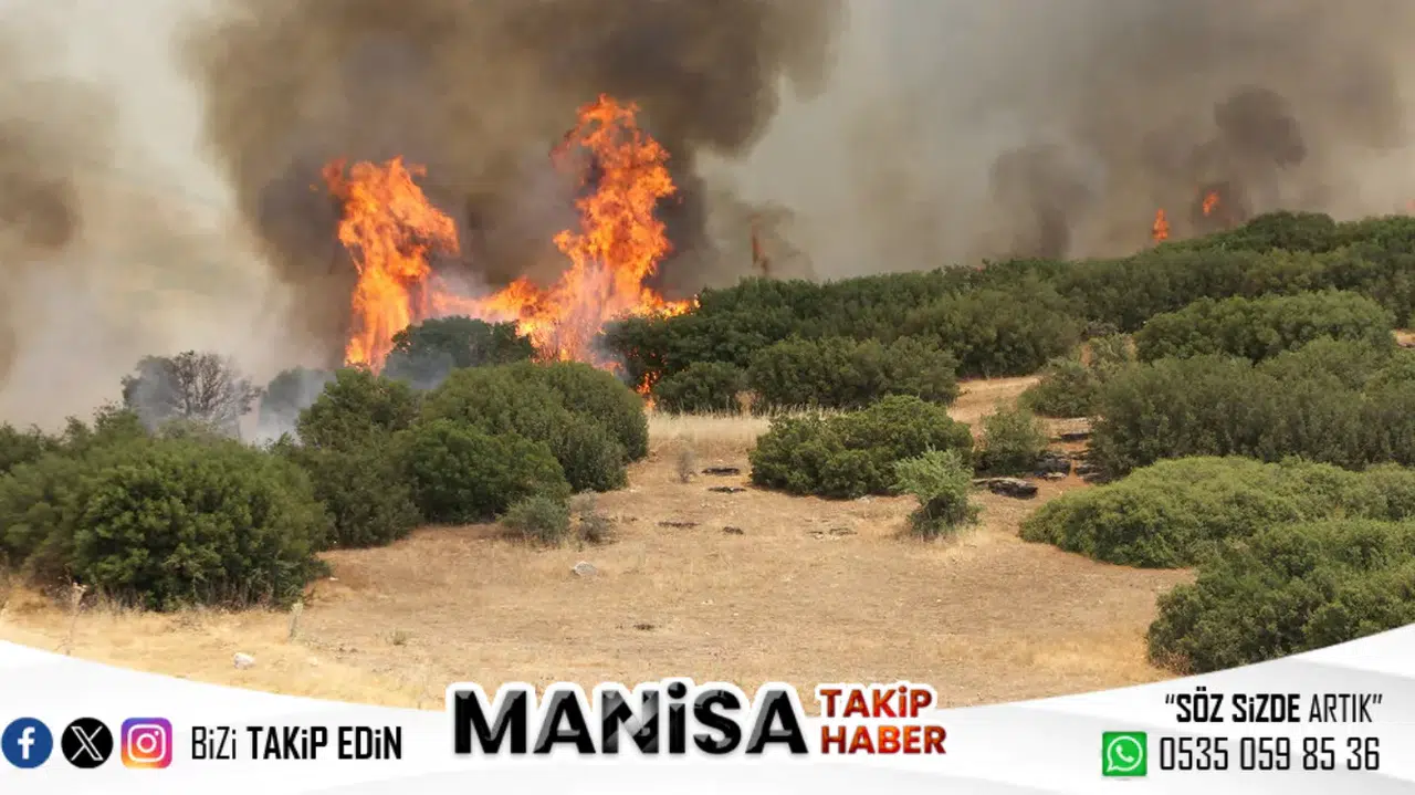 Manisa'nın Kula İlçesinde Makilik Alanda Yangın