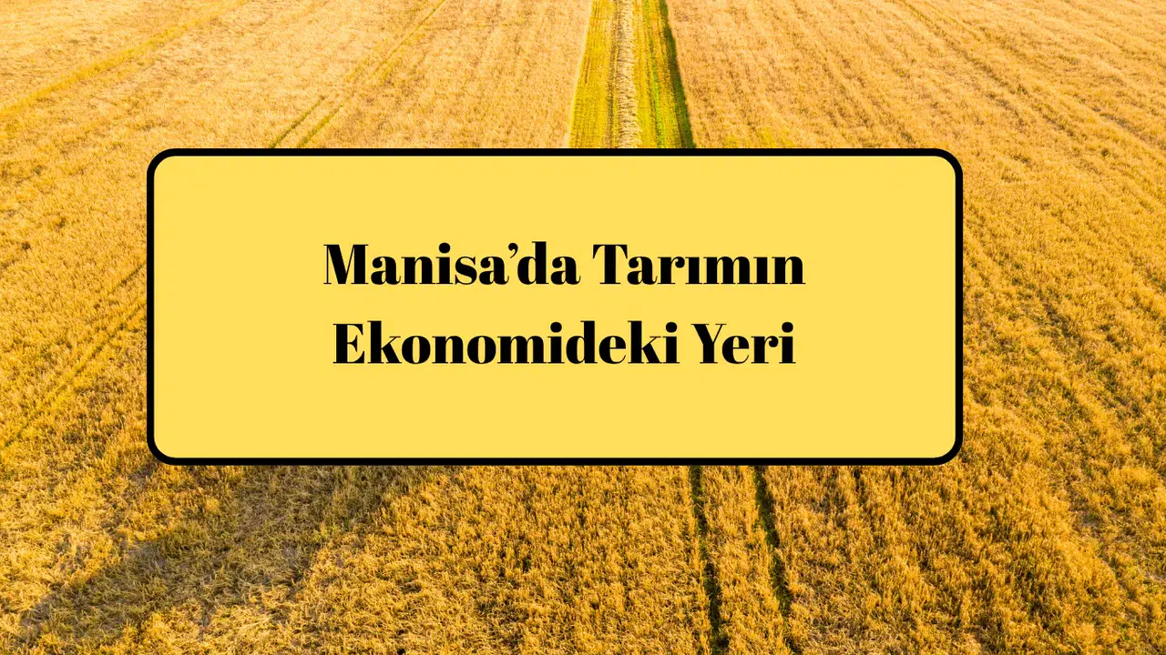 Manisa’da Tarımın Ekonomideki Yeri