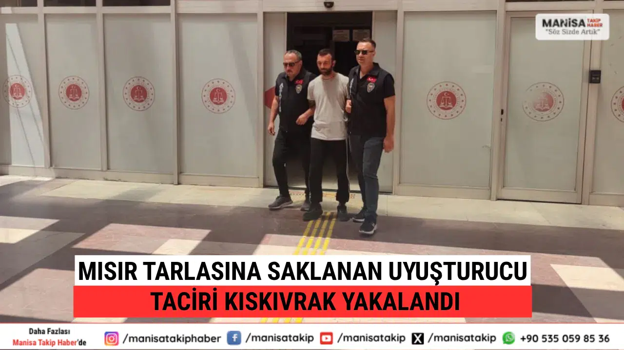 Mısır Tarlasına Saklanan Uyuşturucu Taciri Kıskıvrak Yakalandı
