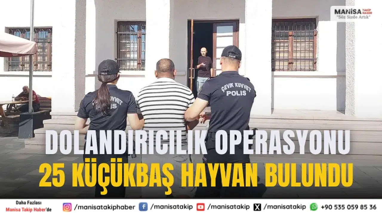 Manisa’da Bulundu Dolandırıcılık Operasyonu: 25 Küçükbaş Hayvan