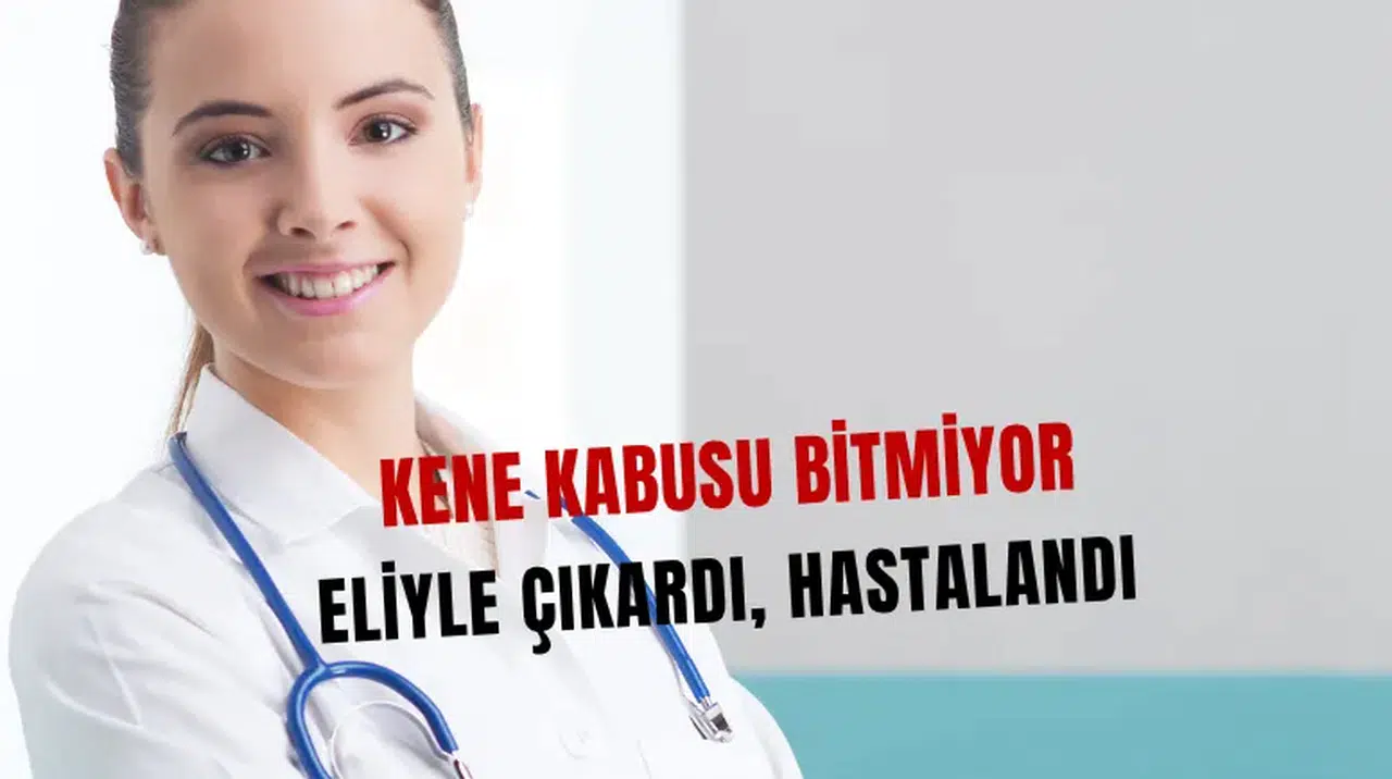 Kene kabusu sürüyor! Eliyle çıkarmaya çalıştı hastalığa yakalandı