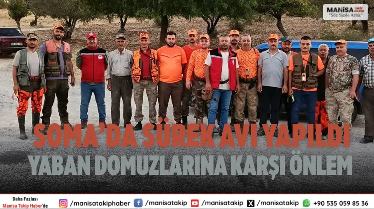 Soma’da sürek avı yapıldı Yaban domuzlarına karşı önlem