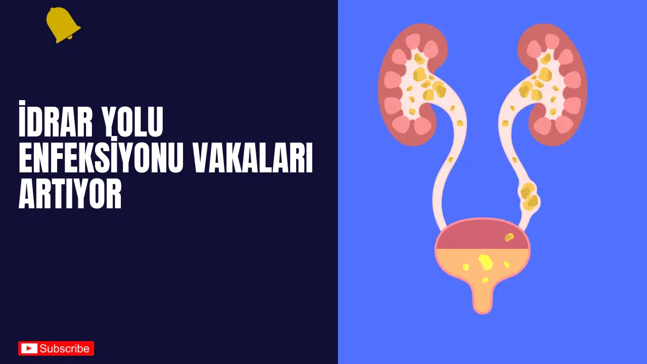 İdrar Yolu Enfeksiyonu Vakaları Artıyor