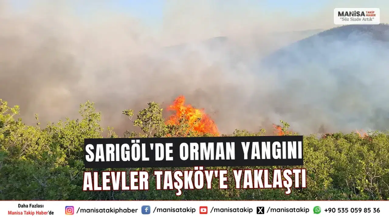 Sarıgöl'de Orman Yangını Alevler Taşköy'e Yaklaştı