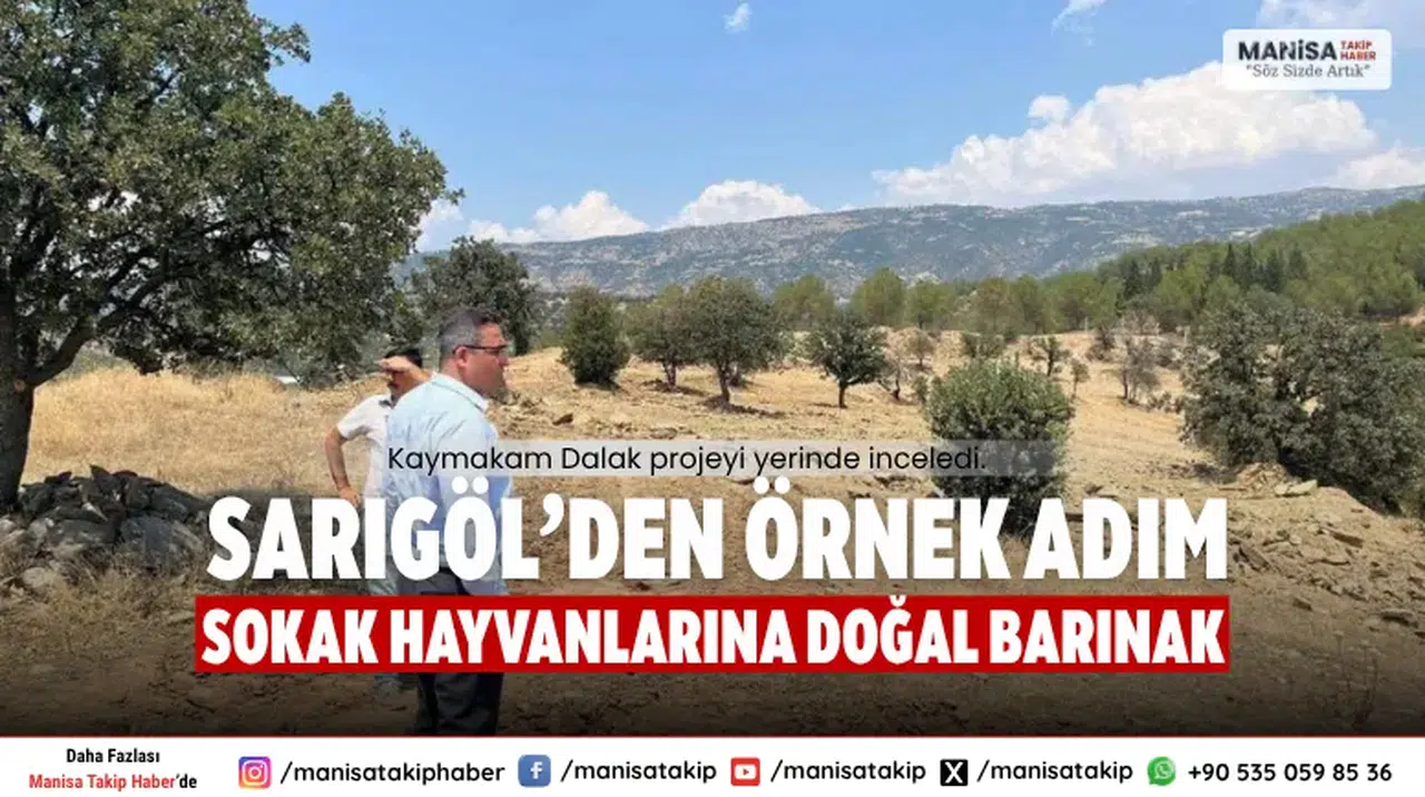 Sarıgöl’den Örnek Adım Sokak Hayvanlarına Doğal Barınak
