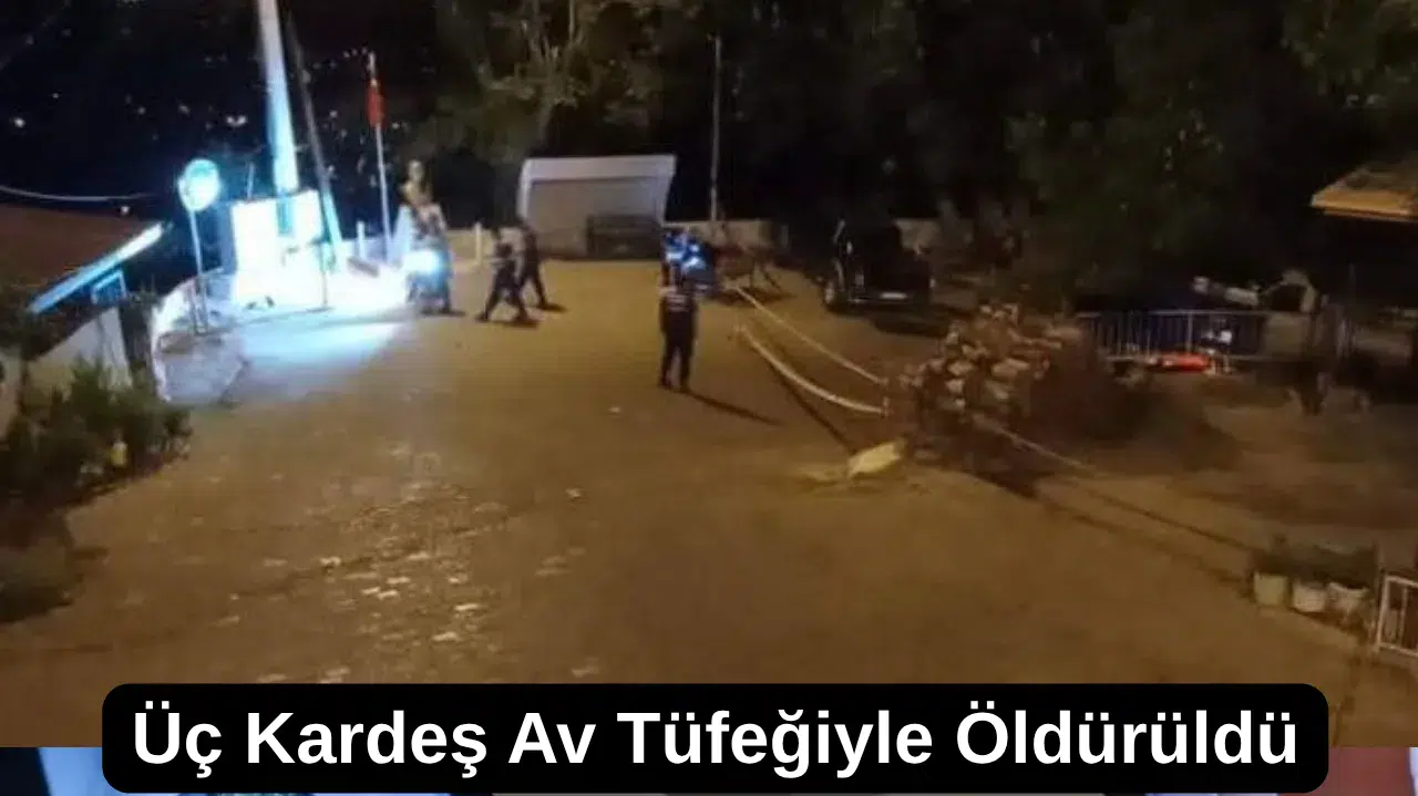 Ödemiş’te Arazi Kavgası Üç Kardeş Av Tüfeğiyle Öldürüldü
