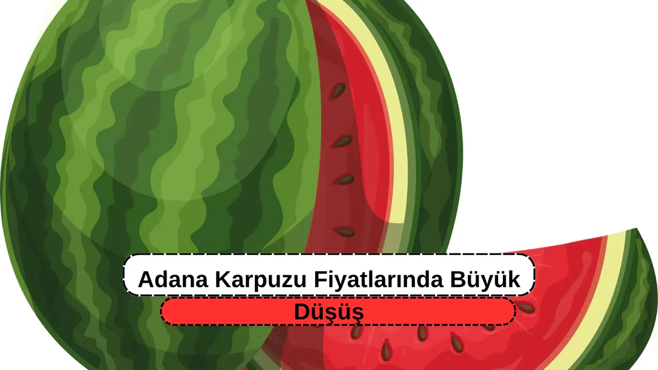 Adana Karpuzu Fiyatlarında Büyük Düşüş