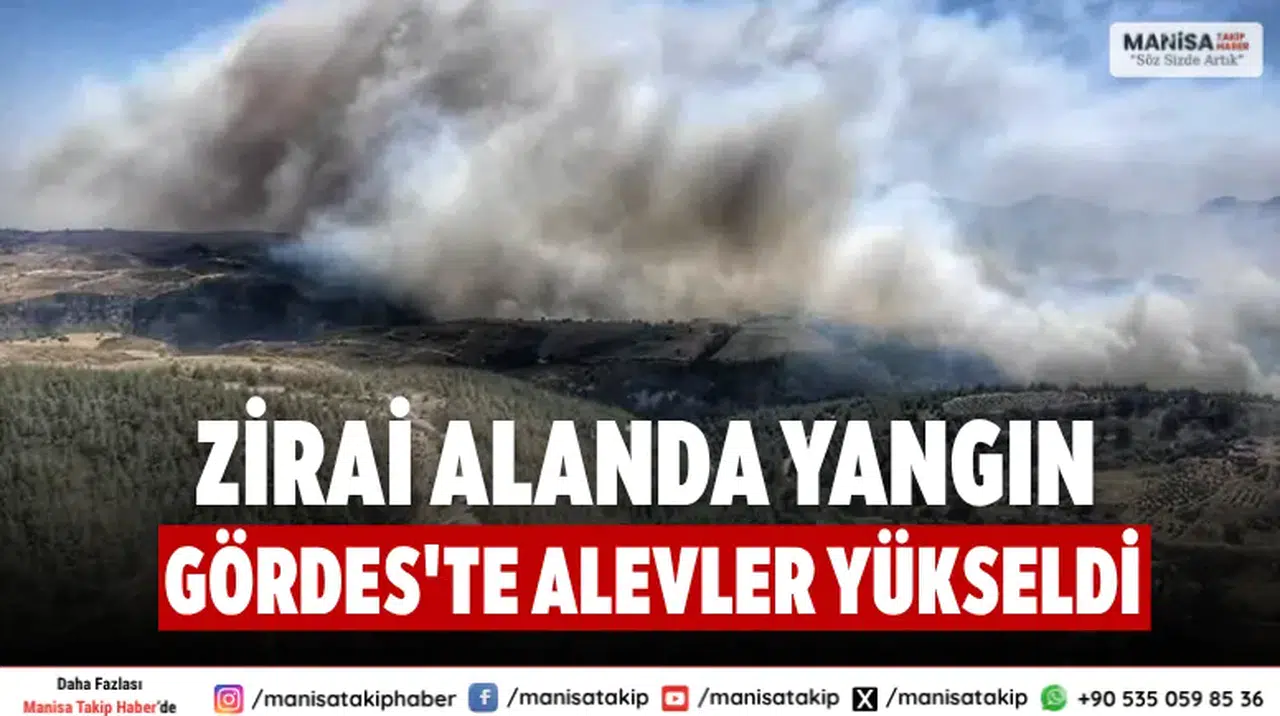 Zirai Alanda Yangın Gördes'te Alevler Yükseldi
