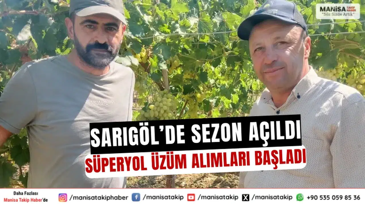 Sarıgöl’de Sezon Açıldı Süperyol Üzüm Alımları Başladı