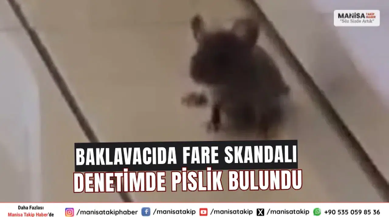 Baklavacıda Fare Skandalı Denetimde Pislik Bulundu