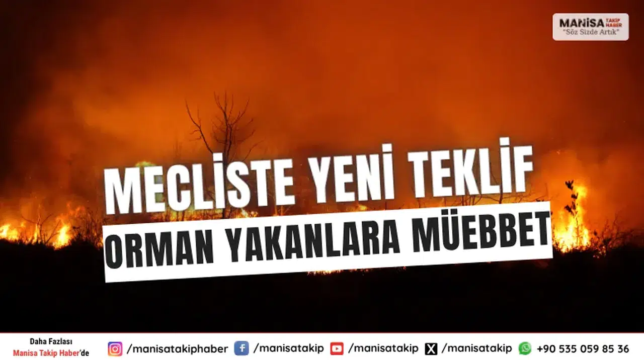 Meclis'e Sunulan Yeni Yasa Tasarısı: Orman Yangınlarını Çıkaranlara Süresiz Hapis Cezası Geliyor!