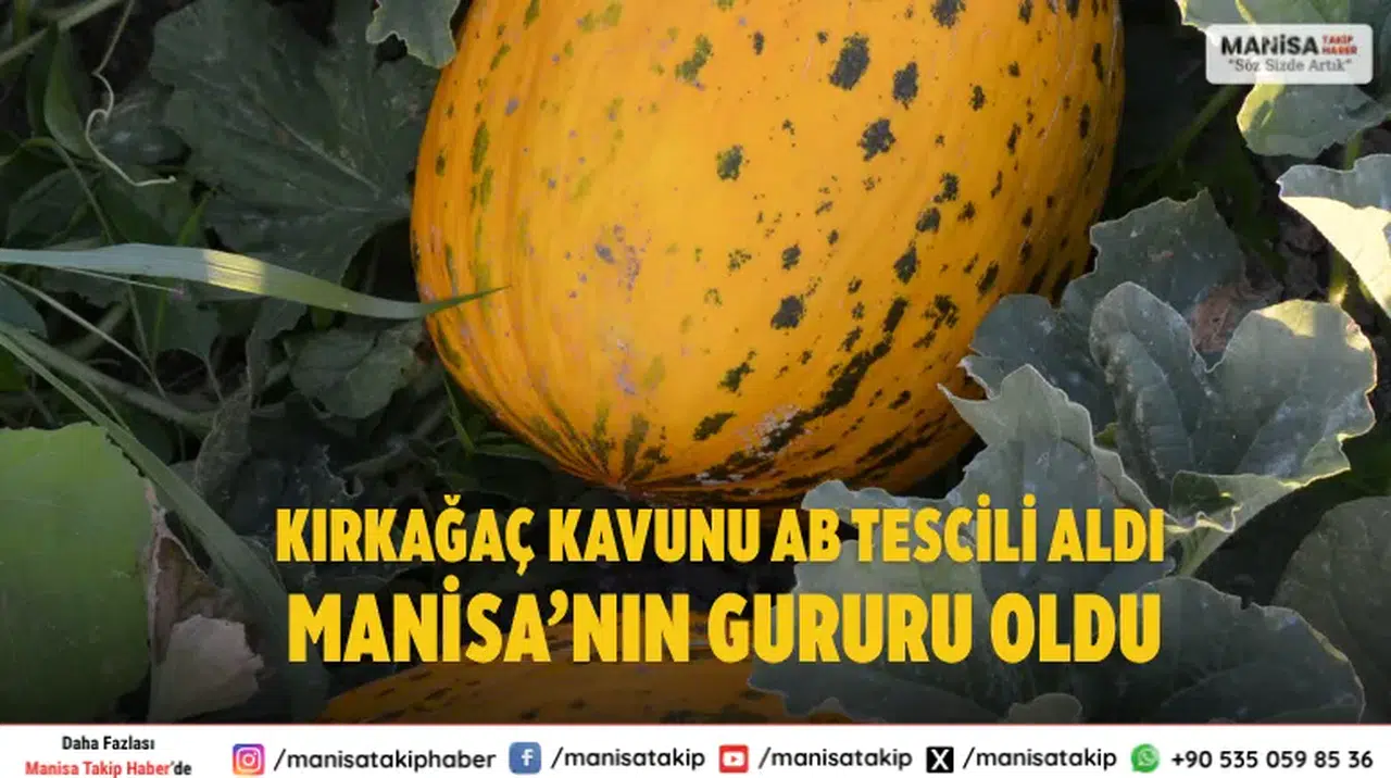 Kırkağaç Kavunu AB Tescili Aldı Manisa’nın Gururu Oldu