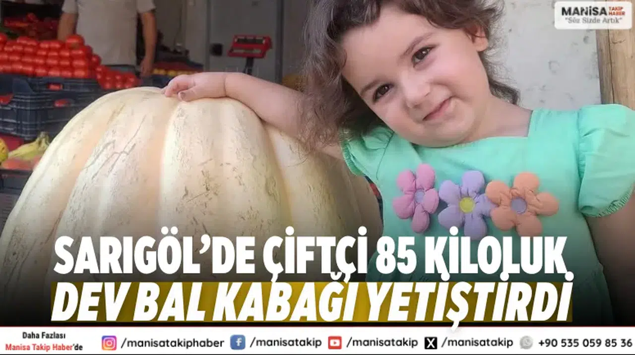 Sarıgöl’de çiftçi 85 kiloluk dev bal kabağı yetiştirdi
