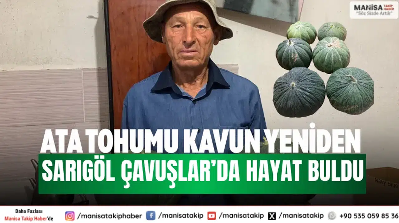 Ata tohumu kavun yeniden Sarıgöl Çavuşlar’da hayat buldu
