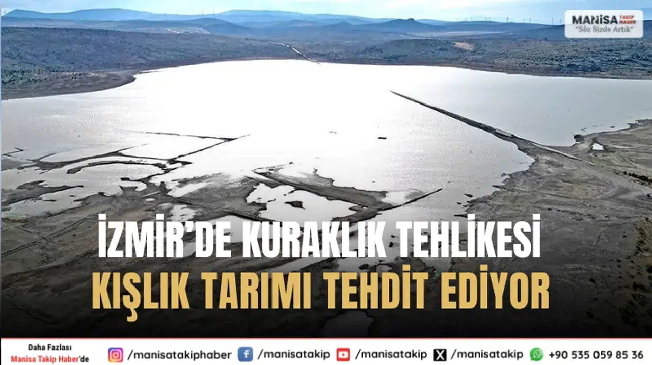 İzmir’de Kuraklık Tehlikesi Kışlık Tarımı Tehdit Ediyor