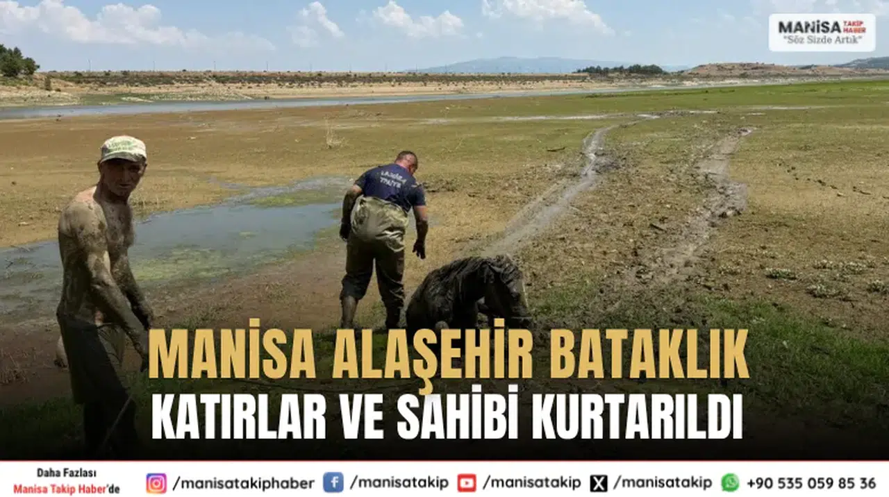 Manisa Alaşehir Bataklık Katırlar ve Sahibi Kurtarıldı
