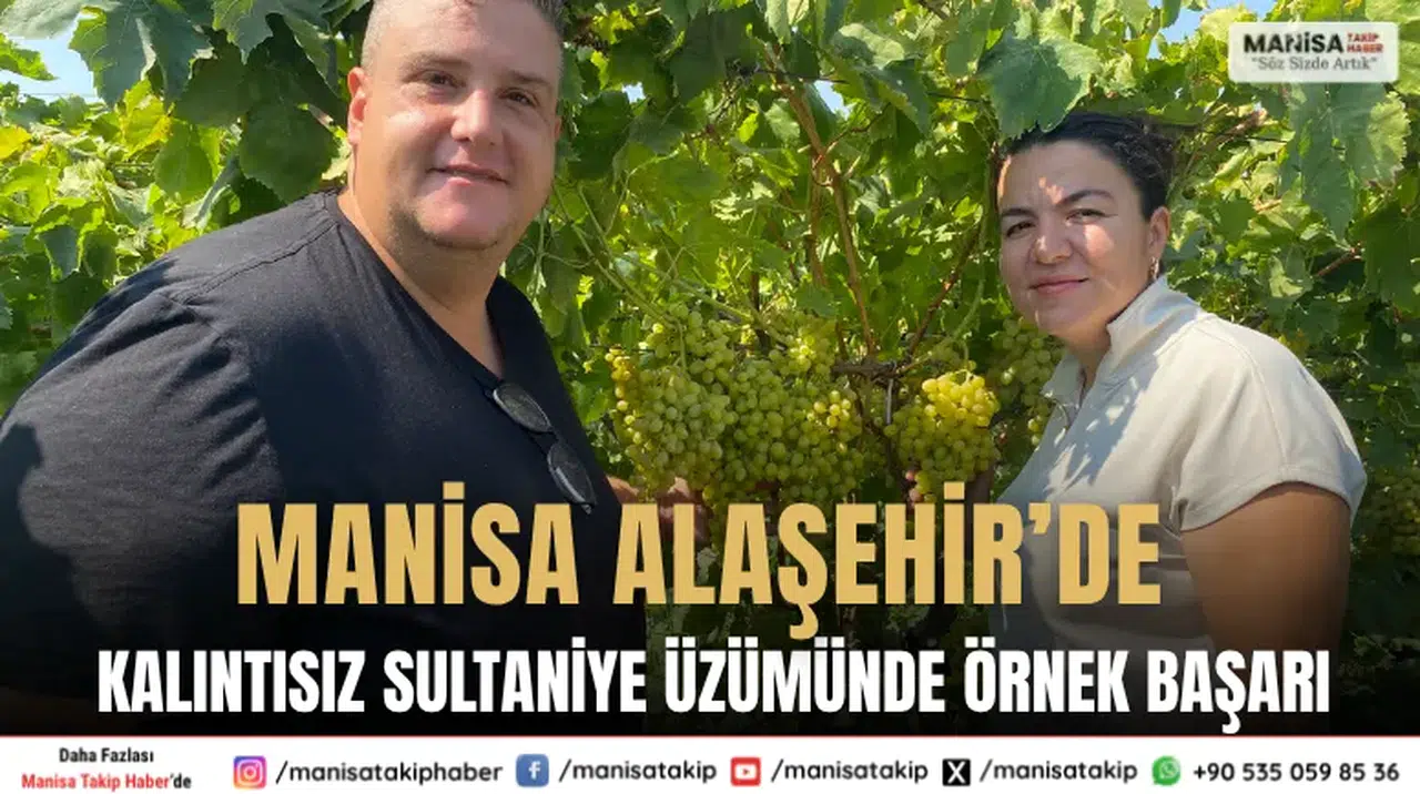 Manisa Alaşehir’de Kalıntısız Sultaniye Üzümünde Örnek Başarı