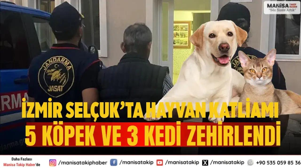 İzmir Selçuk’ta Hayvan Katliamı: 5 Köpek ve 3 Kedi Zehirlendi