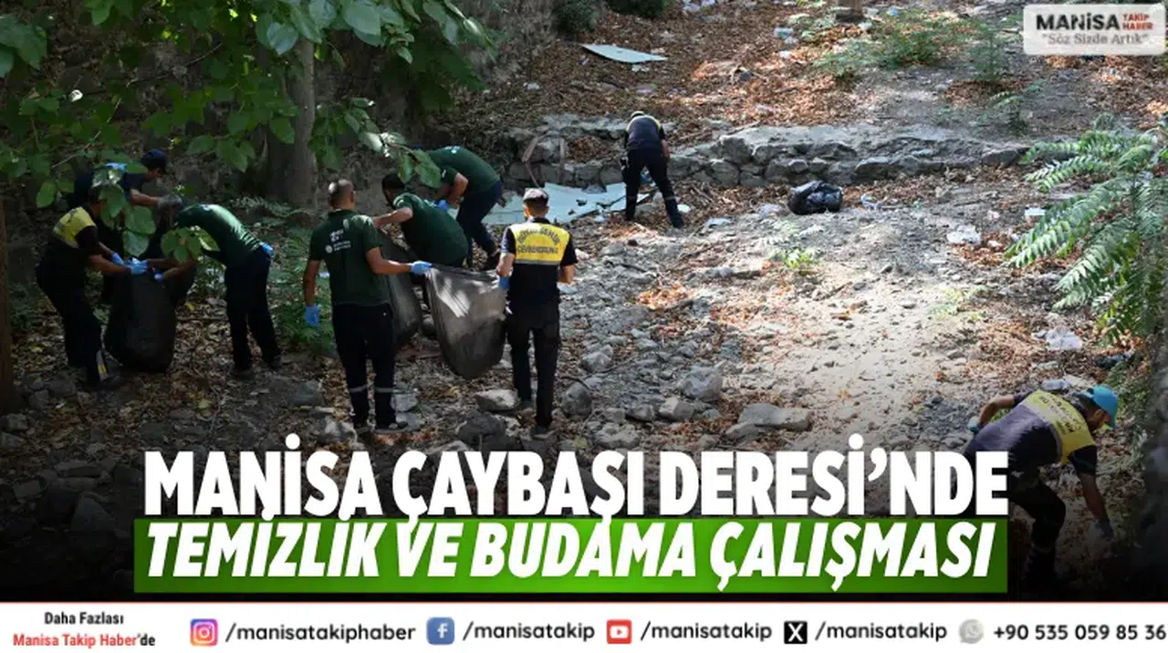 Manisa Çaybaşı Deresi’nde Temizlik ve Budama Çalışması