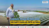 Sarıgöl'de Sultaniye üzüm bağları beyaz örtüyle kaplandı