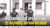 Manisa’da Bulundu Dolandırıcılık Operasyonu: 25 Küçükbaş Hayvan