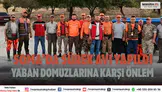 Soma’da sürek avı yapıldı Yaban domuzlarına karşı önlem