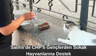 Salihli'de CHP'li Gençlerden Sokak Hayvanlarına Destek