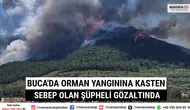Buca'da Orman Yangınına Kasten Sebep Olan Şüpheli Gözaltında