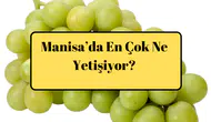 Manisa’da En Çok Ne Yetişiyor?