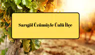 Sarıgöl Üzümüyle Ünlü İlçe