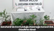 Saruhanlı’da Eve Kurduğu Düzeneğe Kenevir Ekti, Gözaltına Alındı