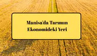 Manisa’da Tarımın Ekonomideki Yeri