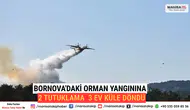 Bornova'daki Orman Yangınına 2 Tutuklama 3 Ev Küle Döndü