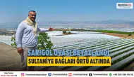 Sarıgöl'de Sultaniye üzüm bağları beyaz örtüyle kaplandı