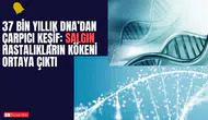 37 Bin Yıllık DNA’dan Çarpıcı Keşif: Salgın Hastalıkların Kökeni Ortaya Çıktı