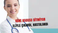 Kene kabusu sürüyor! Eliyle çıkarmaya çalıştı hastalığa yakalandı