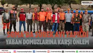 Soma’da sürek avı yapıldı Yaban domuzlarına karşı önlem