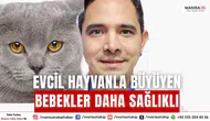 Evcil Hayvanla Büyüyen Bebekler Daha Sağlıklı