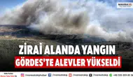 Zirai Alanda Yangın Gördes'te Alevler Yükseldi