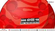Daha büyüğü yok! 'Marslı' taşa dudak uçuklatan fiyat