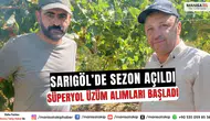 Sarıgöl’de Sezon Açıldı Süperyol Üzüm Alımları Başladı