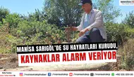 Manisa Sarıgöl’de su hayratları kurudu, kaynaklar alarm veriyor