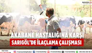 Akabane Hastalığına Karşı Sarıgöl’de İlaçlama Çalışması